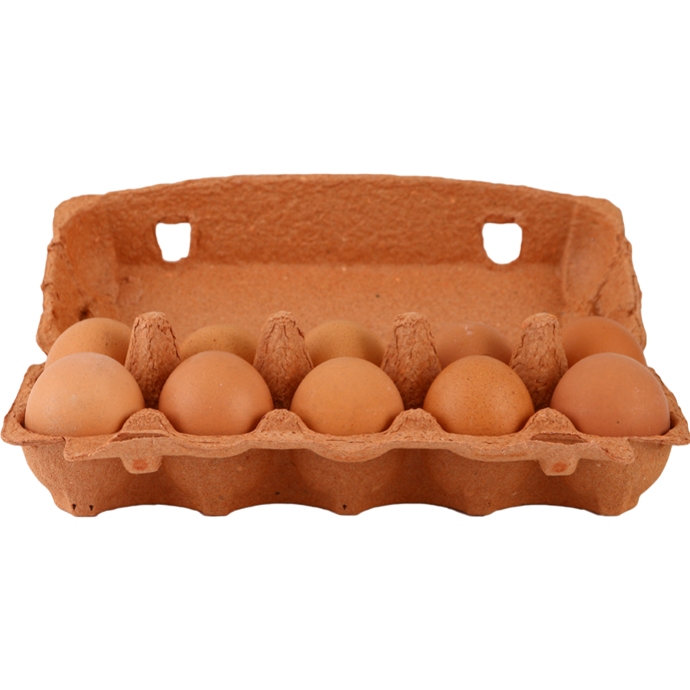 Яйца куриные «Солигорская птицефабрика» Халяль, С1 #0