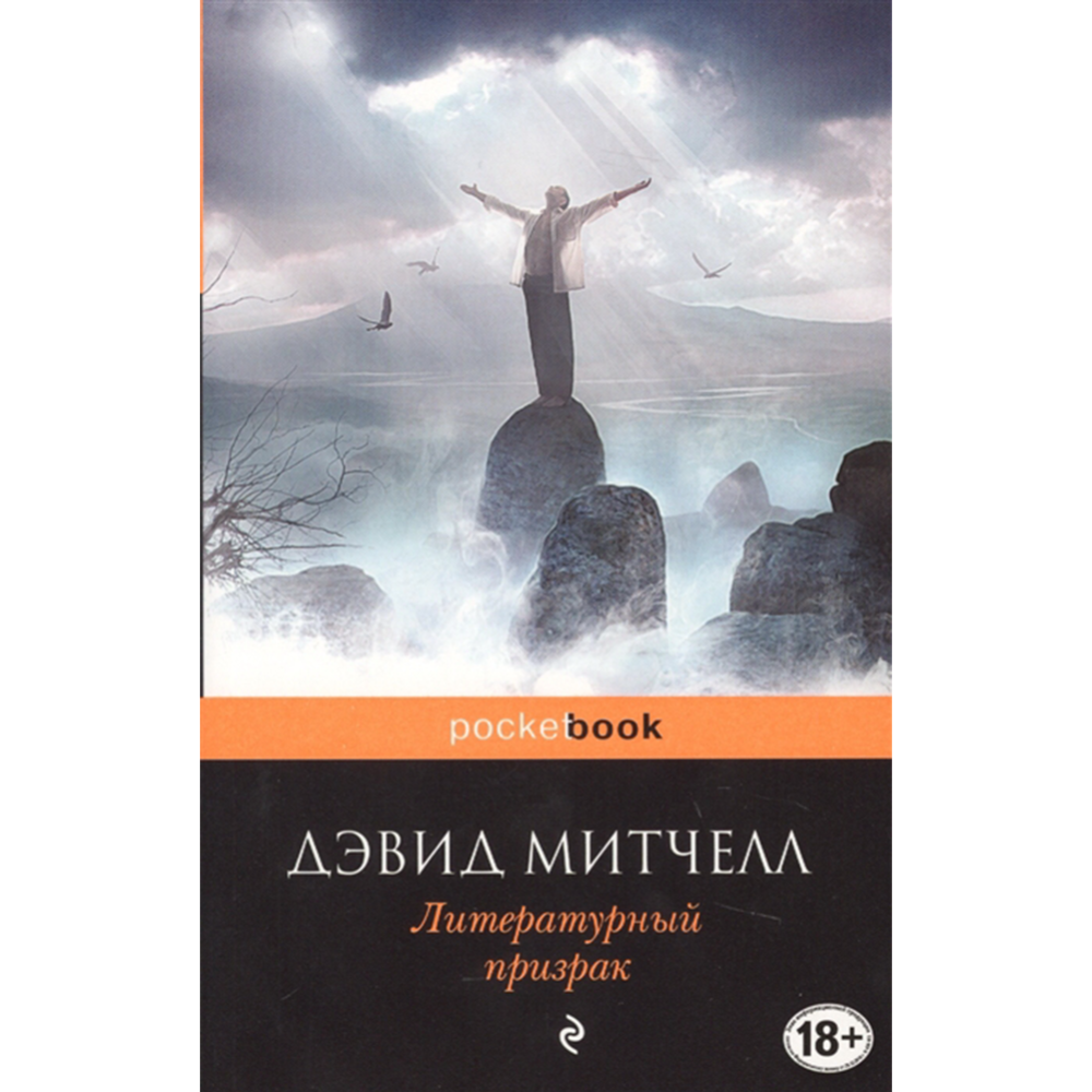 Книга дэвид. Литературный призрак Дэвид Митчелл. 9785040042470 Литературный призрак Митчел 325. Переплетение судеб книга. Роман о любви призрак литературный.